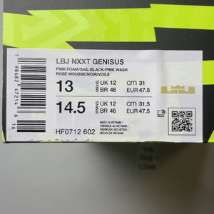 Nike Zoom LeBron NXXT Genisus Pink Foam Translucent | HF0712-602 | Size 13 M