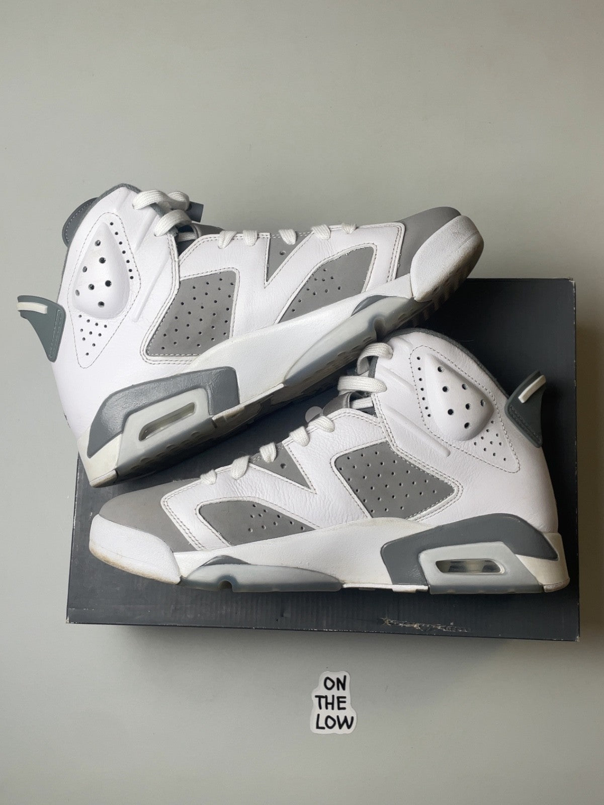 Air Jordan 6 Retro Low Cool Grey | Jordan 6 Retro Cool Grey | Size 10 Men's US