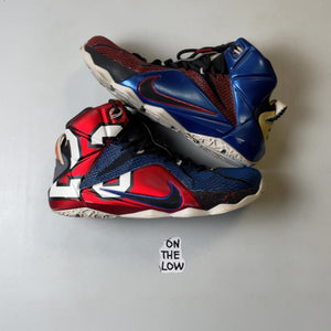 Nike LeBron 12 What the LeBron | 802193-909 | Size 8.5 Men's US