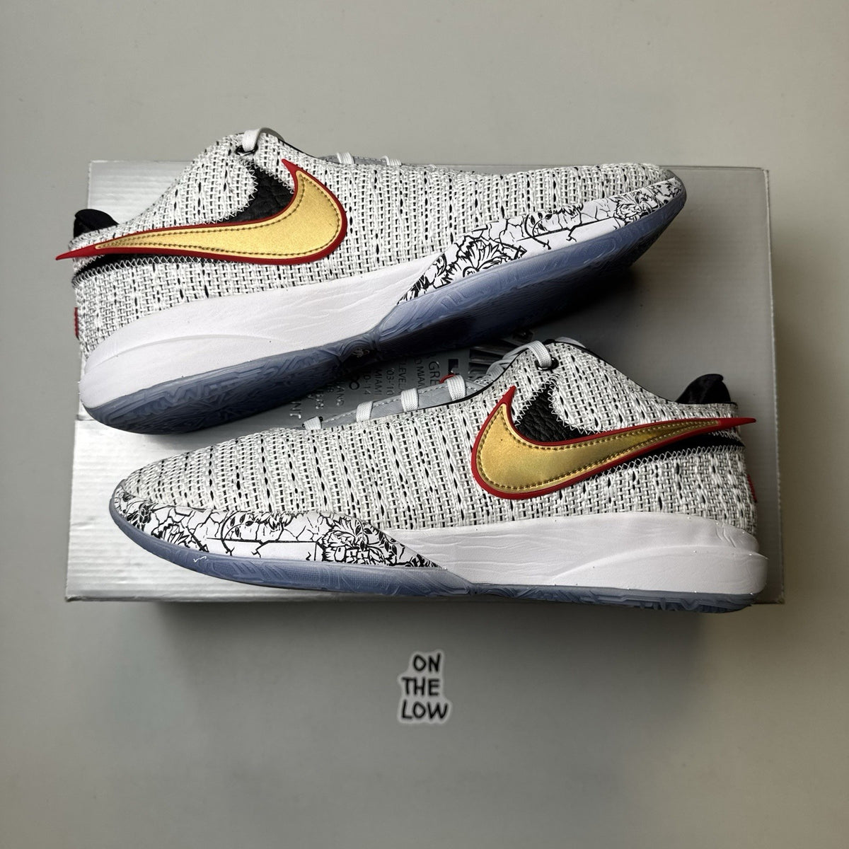 Nike Lebron 20 XX White Debut | DJ5423-100| Size 11 Mens US