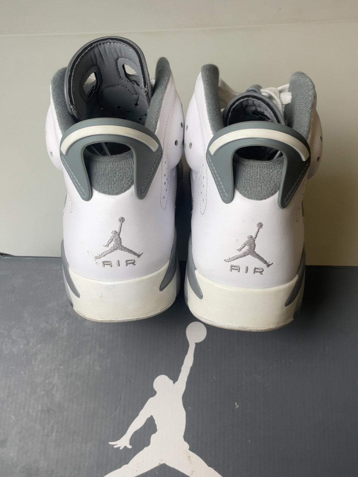 Air Jordan 6 Retro Low Cool Grey | Jordan 6 Retro Cool Grey | Size 10 Men's US