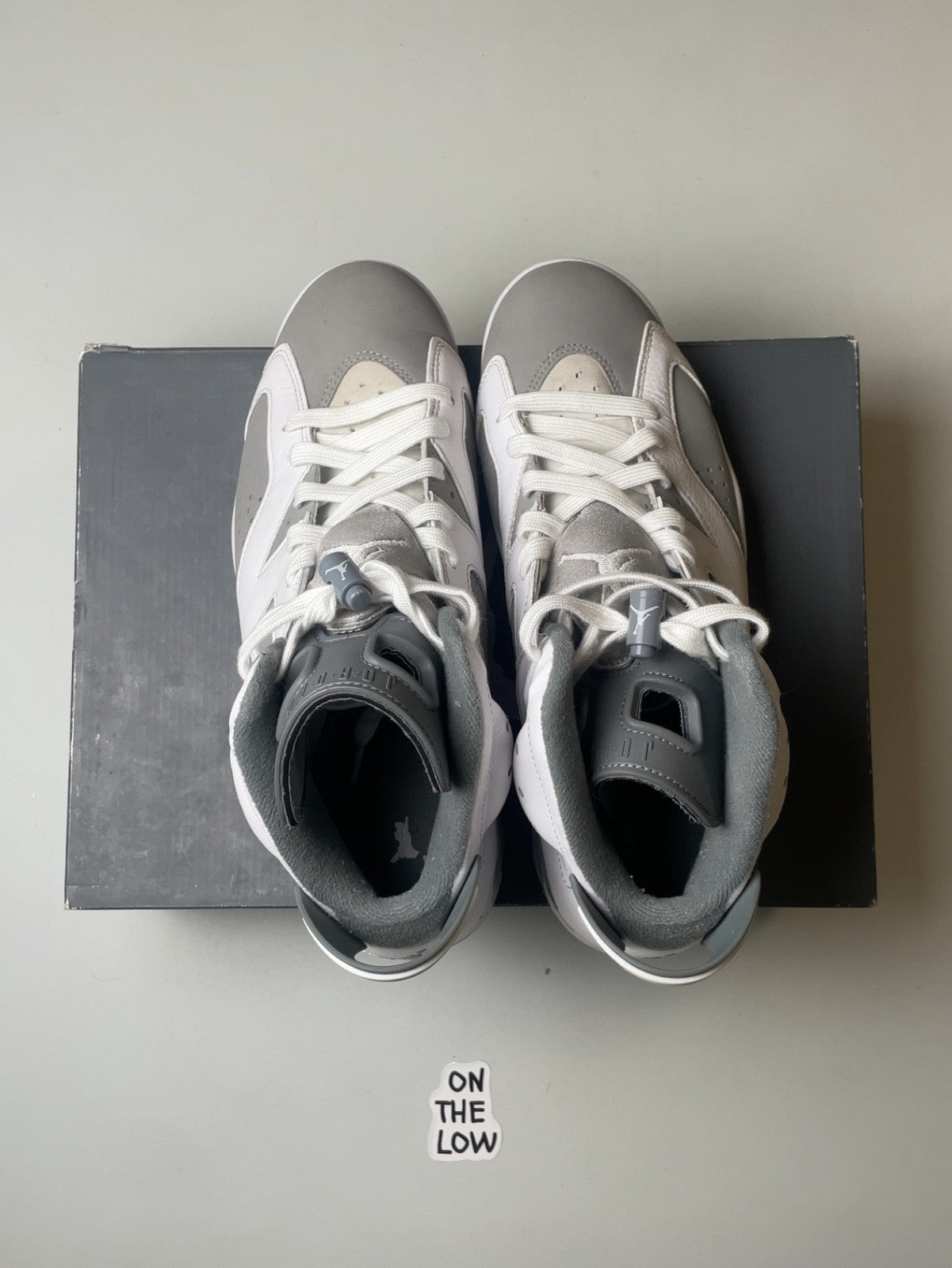 Air Jordan 6 Retro Low Cool Grey | Jordan 6 Retro Cool Grey | Size 10 Men's US