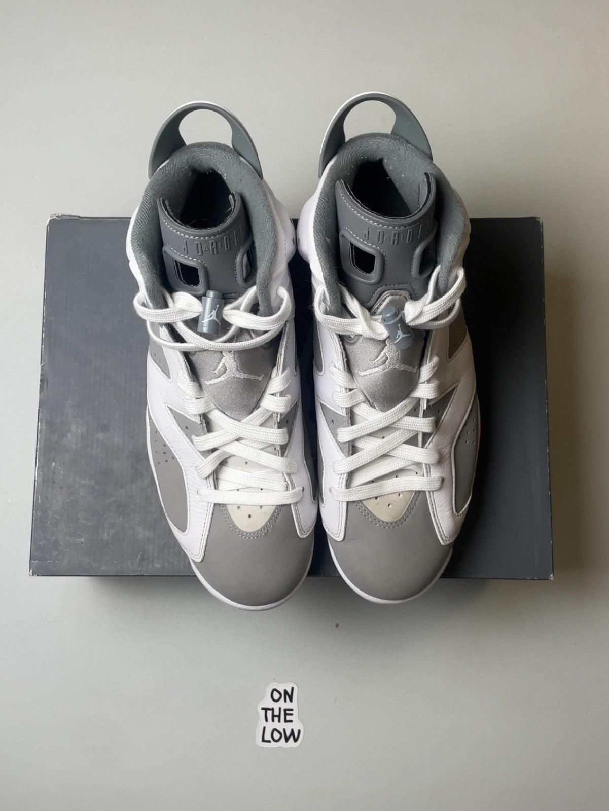 Air Jordan 6 Retro Low Cool Grey | Jordan 6 Retro Cool Grey | Size 10 Men's US