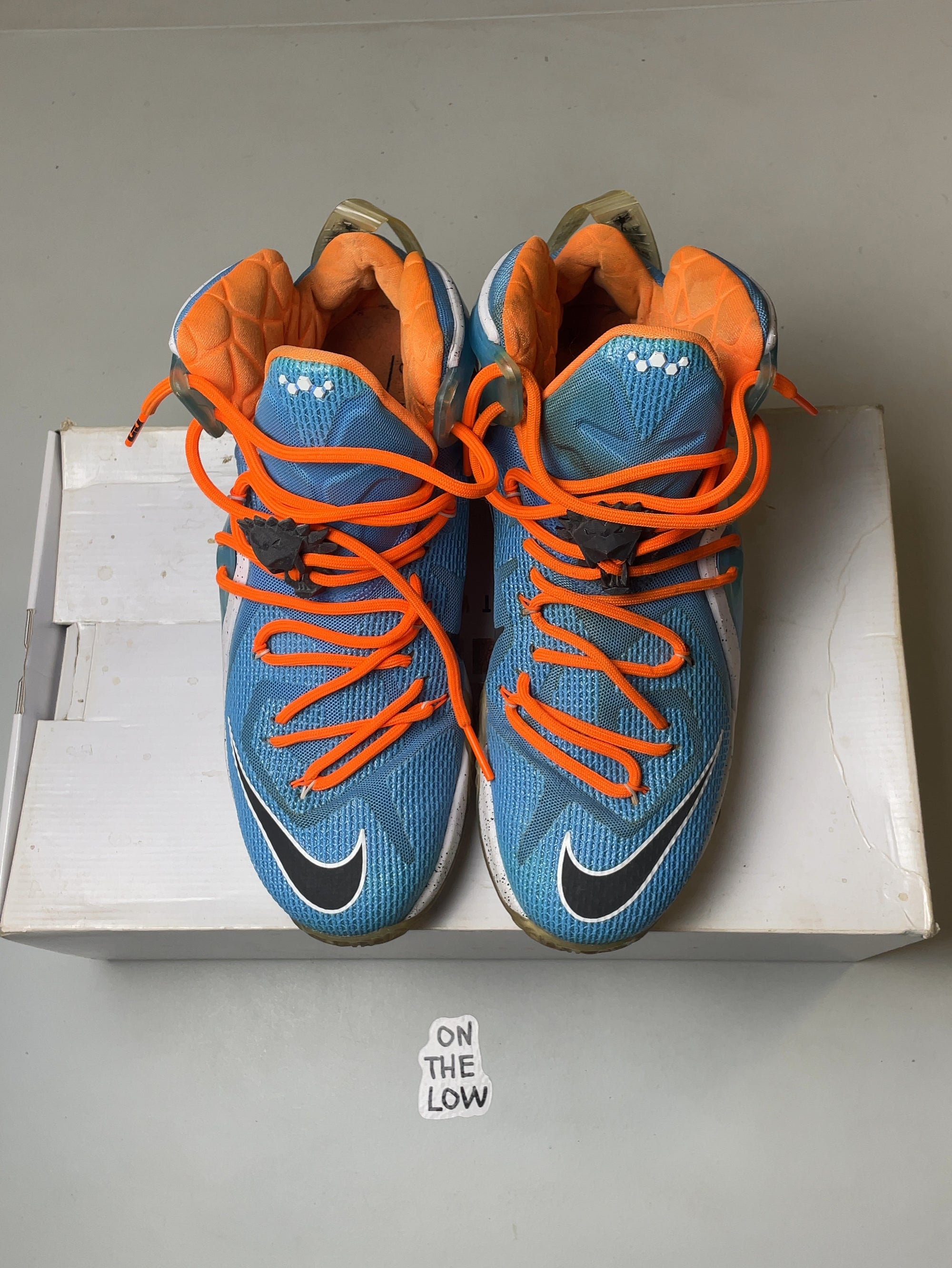 Nike LeBron 12 Elite Elevate (USED)