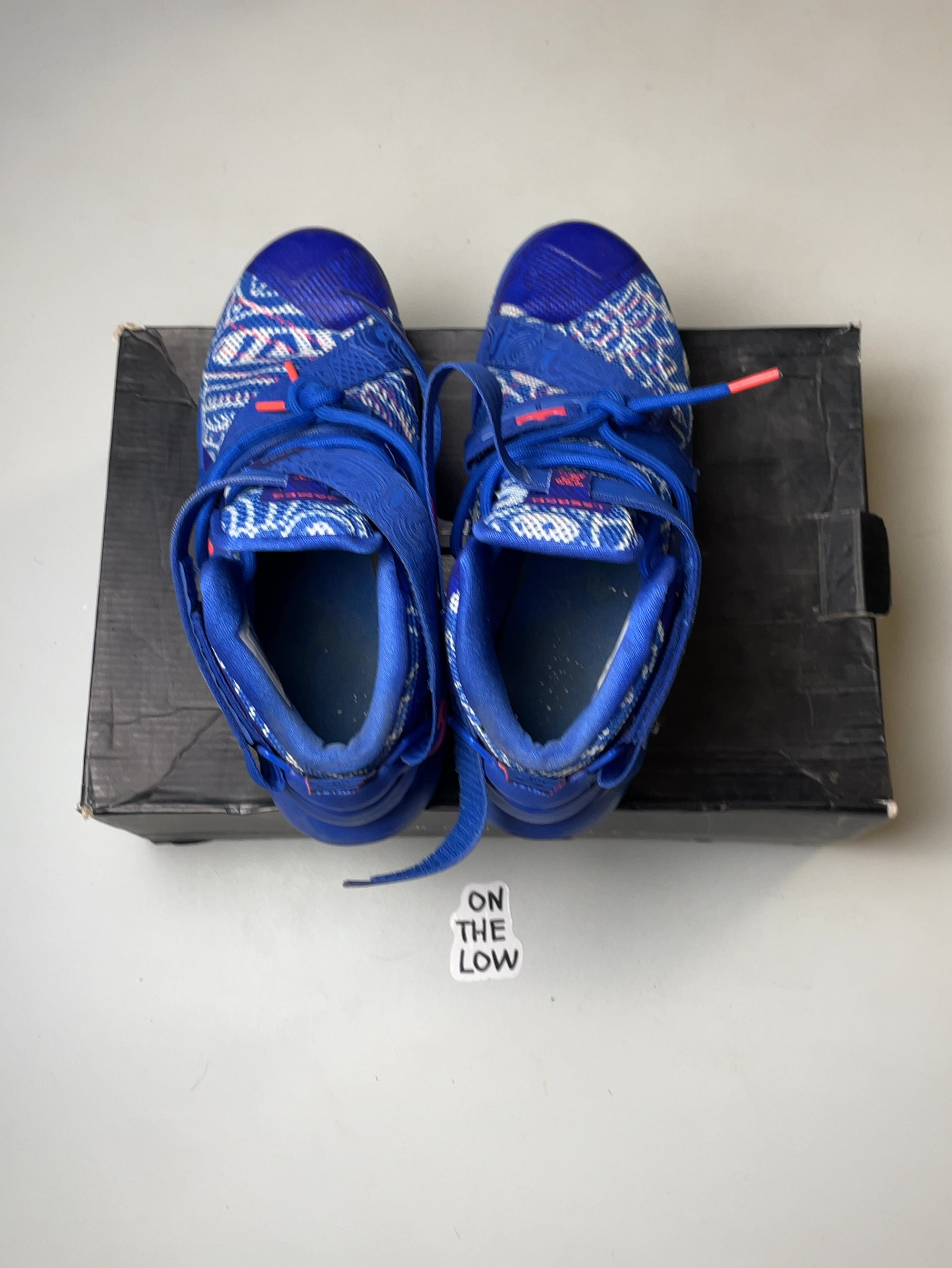 Nike LeBron Soldier 9 LE Freegums Game Royal (USED)